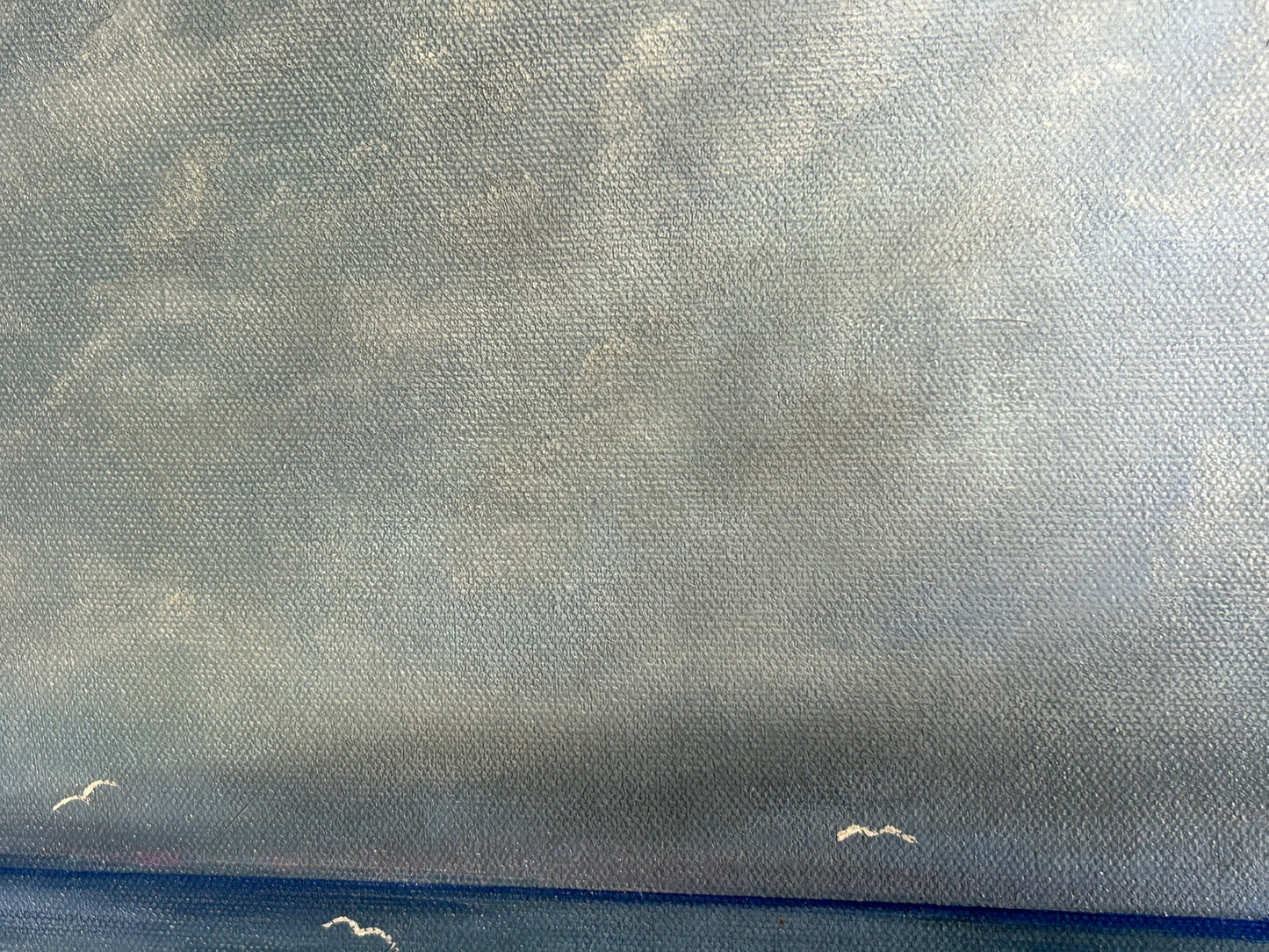 Sea Gulls and Waves